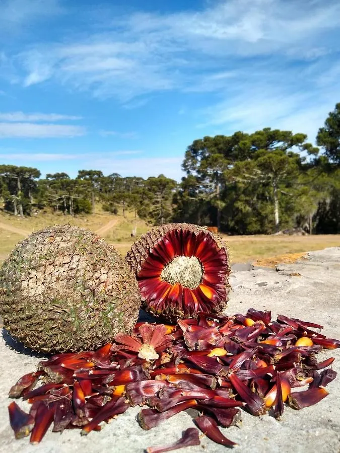 Penzion Pousada Morro Grande Bom Jardim da Serra Brazílie