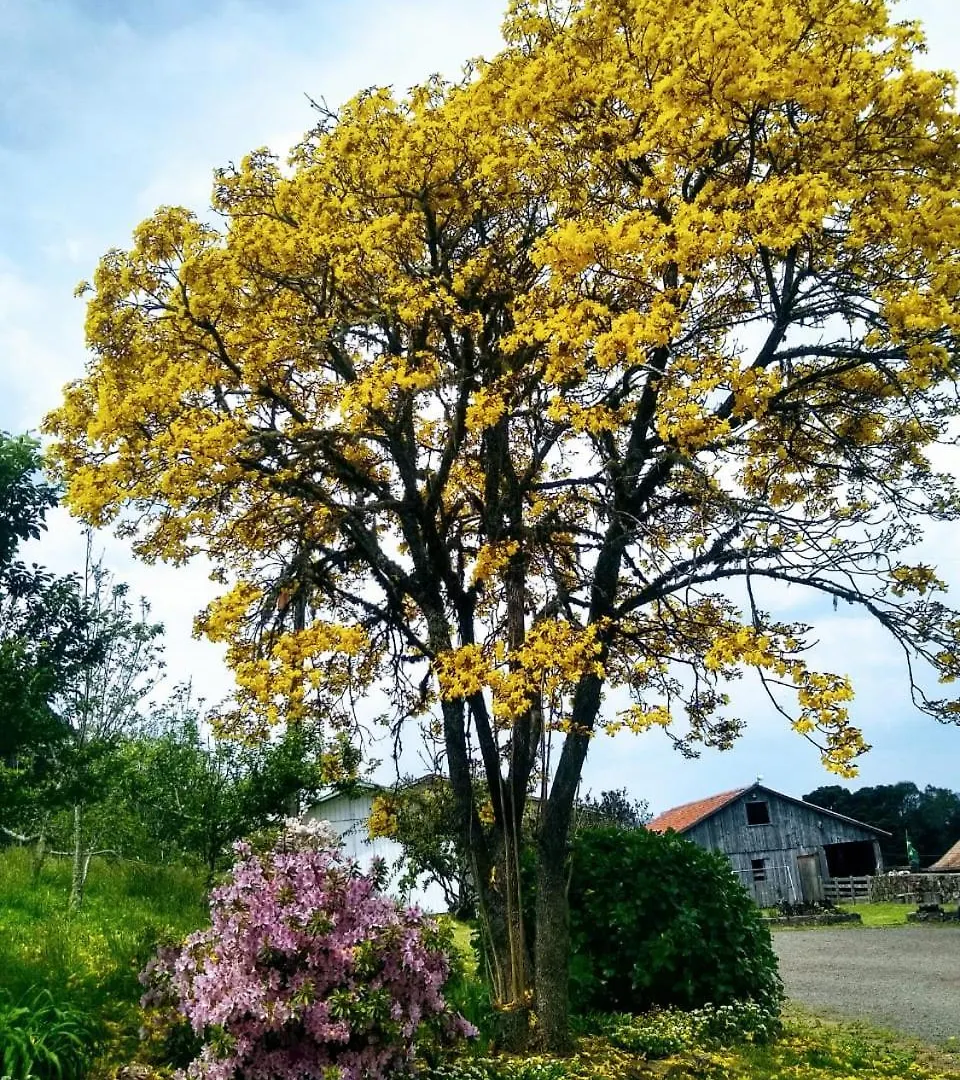 Penzion Pousada Morro Grande Bom Jardim da Serra Brazílie
