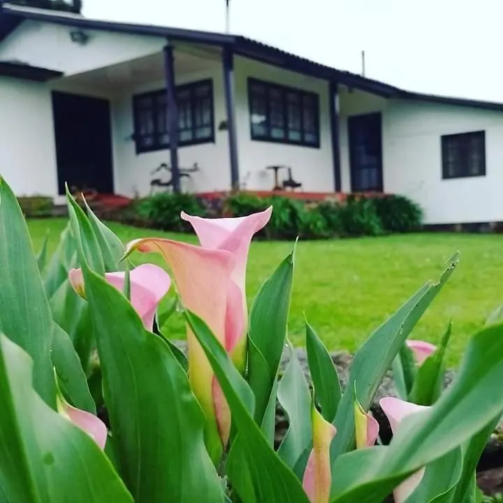 Inn Pousada Morro Grande Bom Jardim da Serra